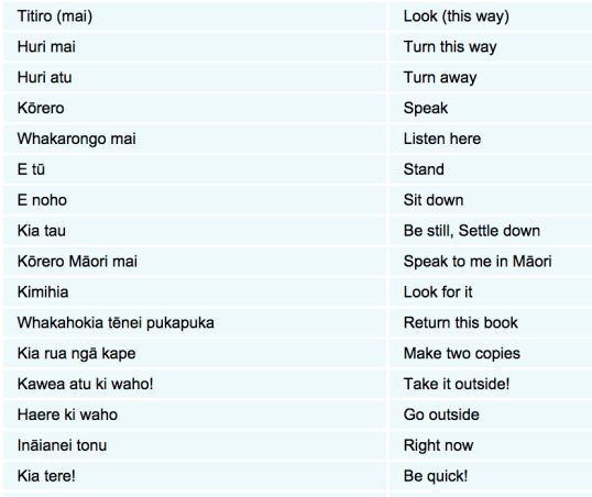 mÄori language phrases